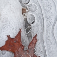 VF-ice-1338