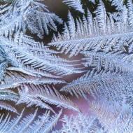 Water-drops-at-CCCC-4477