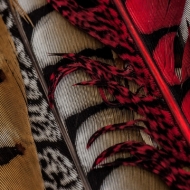 berks-photo-workshop-060813-19-of-191