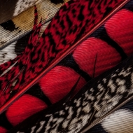 berks-photo-workshop-060813-38-of-191