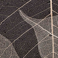 berks-photo-workshop-060813-54-of-191