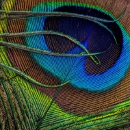 berks-photo-workshop-060813-6-of-191-edit