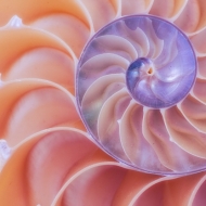 berks-photo-workshop-060813-62-of-191-edit