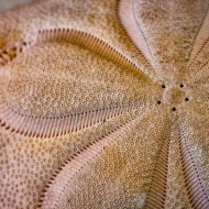 berks-photo-workshop-060813-64-of-191-edit