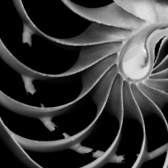 berks-photo-workshop-060813-78-of-191-edit