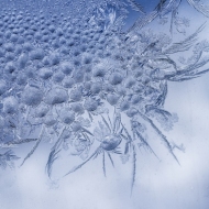 frost-4159-Edit