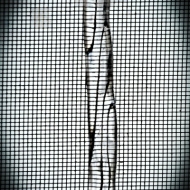 untitled-00976-Edit