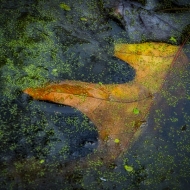 untitled-02283-Edit