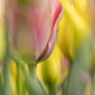 untitled-04220-Edit