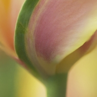 untitled-08775-Edit