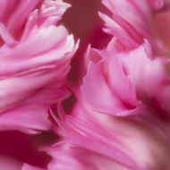 untitled-0938-Edit-Edit