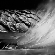 untitled-6229-Edit