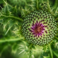 untitled-6852_HDR-Edit