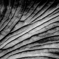 untitled-7875