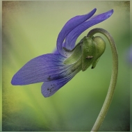 untitled-9638-Edit-Edit