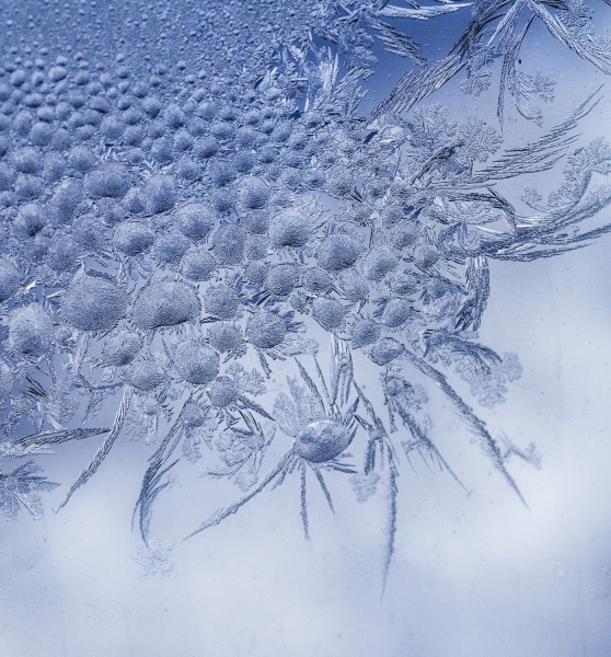 frost-4159-Edit