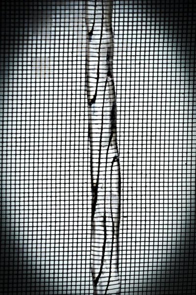 untitled-00976-Edit