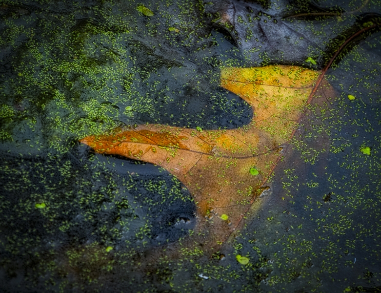 untitled-02283-Edit