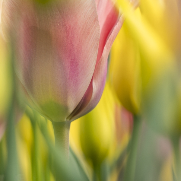 untitled-04220-Edit