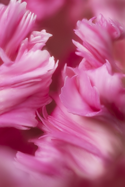 untitled-0938-Edit-Edit
