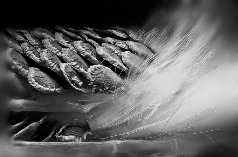 untitled-6229-Edit