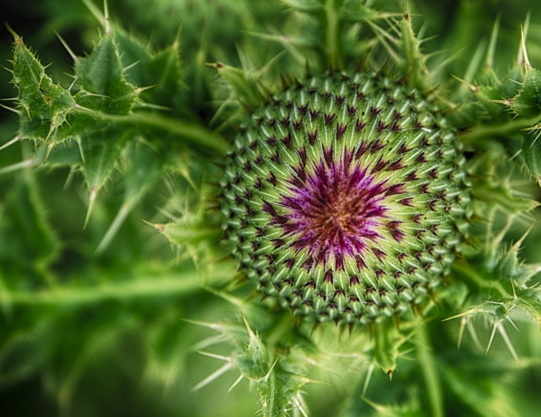 untitled-6852_HDR-Edit