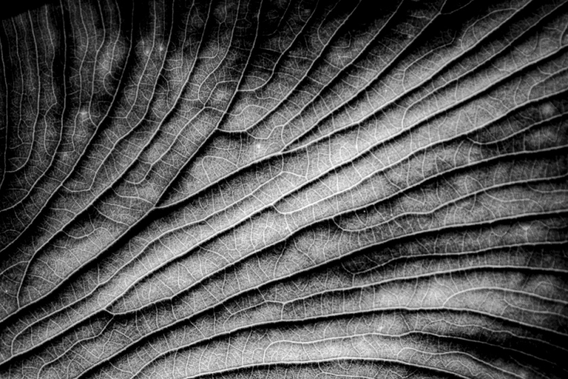 untitled-7875