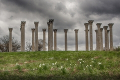 National Arboretum-6390_HDR