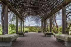 Nat'l Arboretum-7717-Edit-Edit