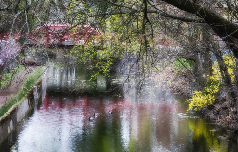 New Hope 041915-960