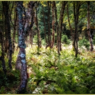 nova-scotia-4461-edit-edit