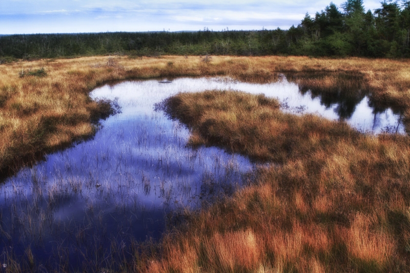 nova-scotia-4637_hdr-edit-edit