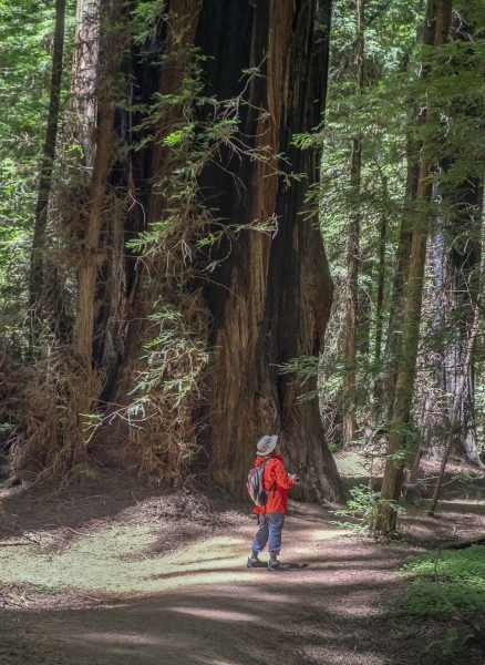 Oregon-3506-Edit