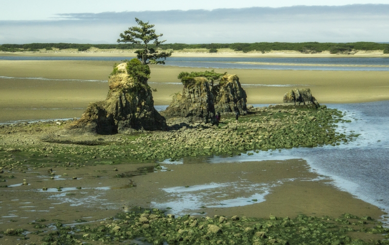 Oregon Coast-
