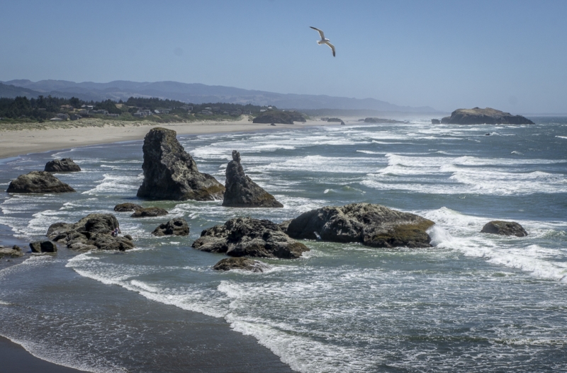 Oregon Coast-0468