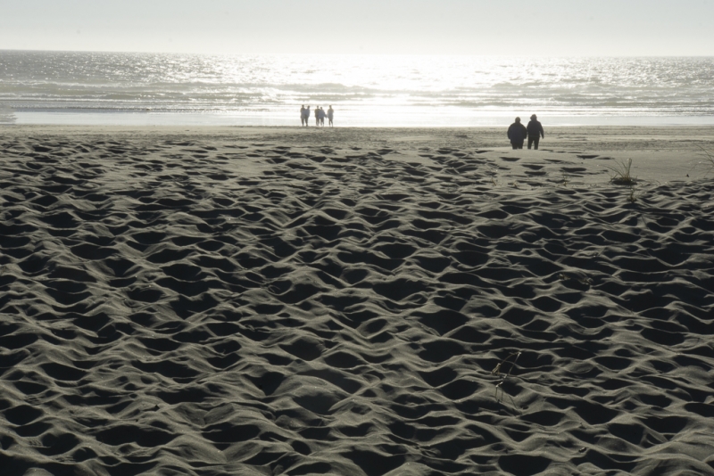 Oregon Coast--11