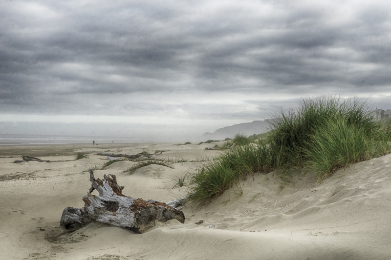 Oregon Coast--16