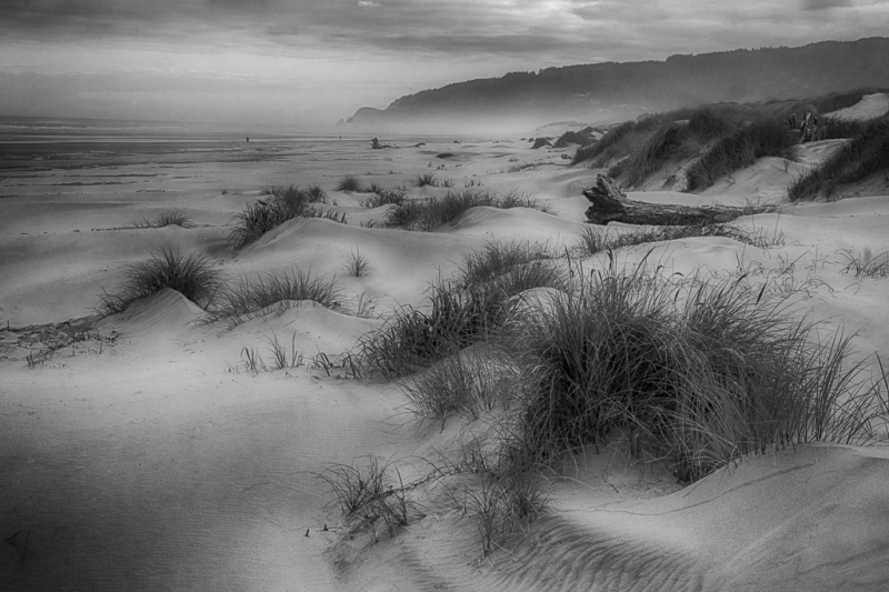 Oregon Coast--19