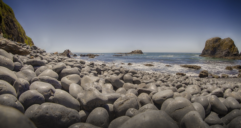 Oregon Coast--2
