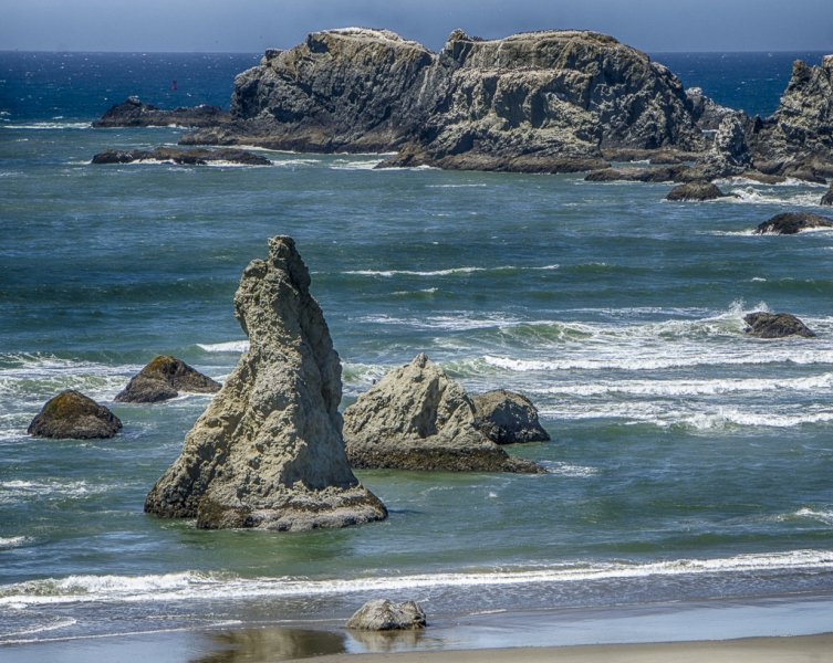 Oregon Coast--26