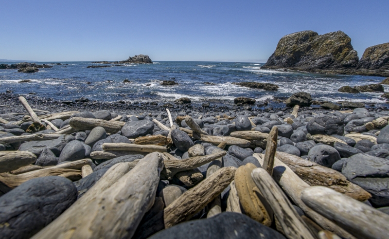 Oregon Coast--3