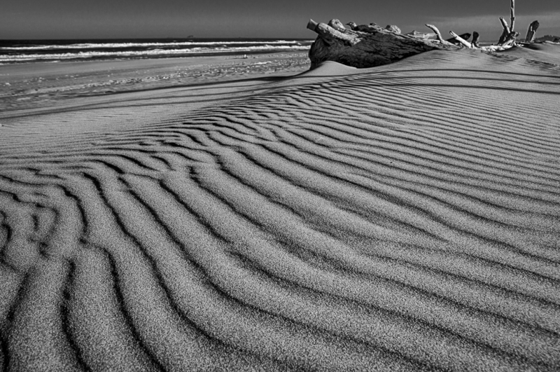 Oregon Coast--30