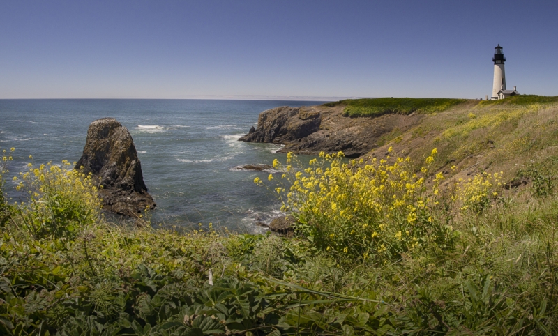 Oregon Coast--4