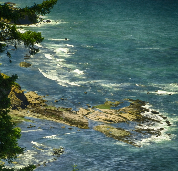 Oregon Coast--6