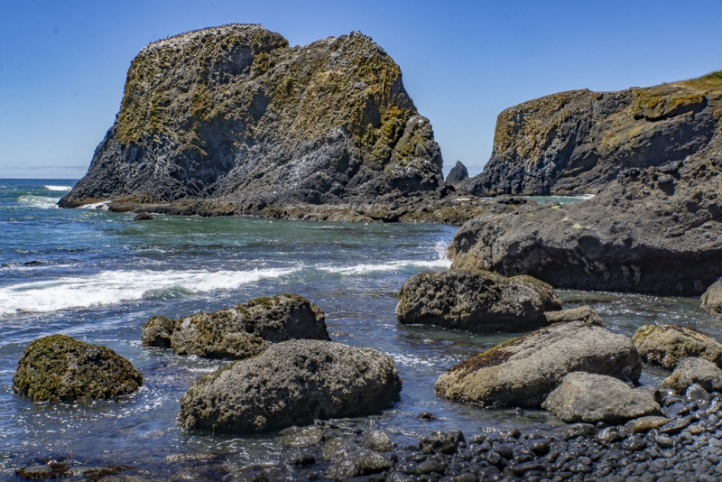 Oregon Coast-8651