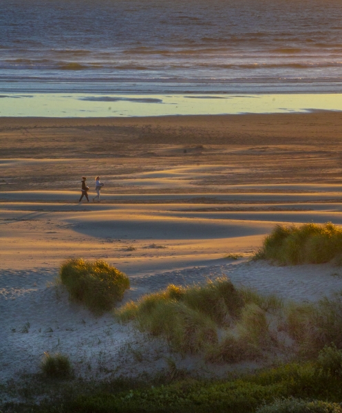 Oregon Coast-9526