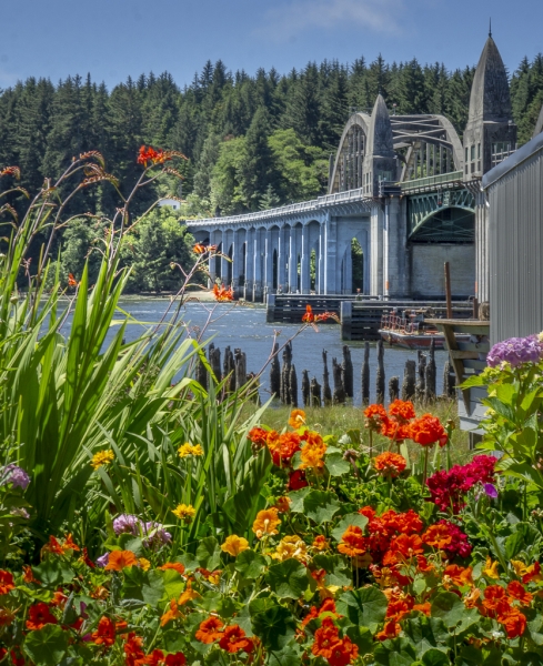 Oregon Coast-9608