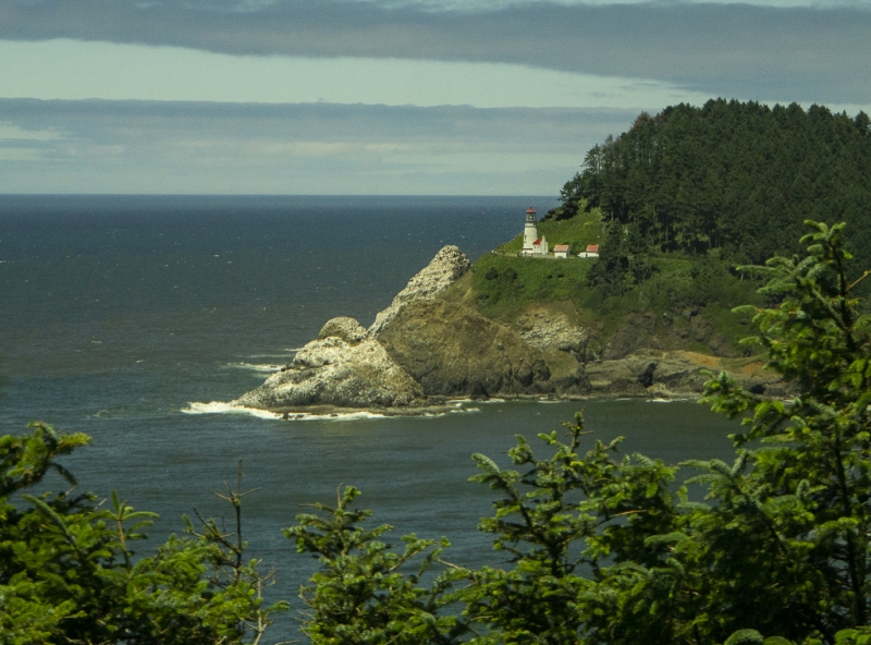 Oregon Coast-9699