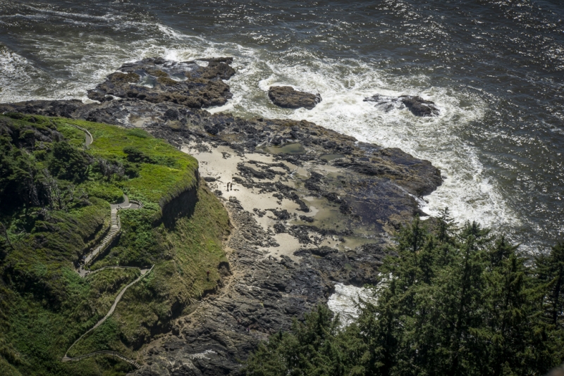 Oregon Coast-9729