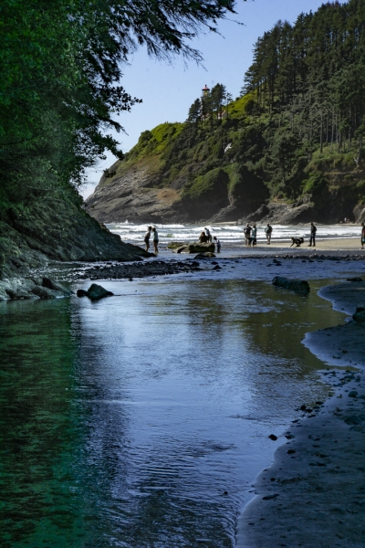 Oregon Coast-9975